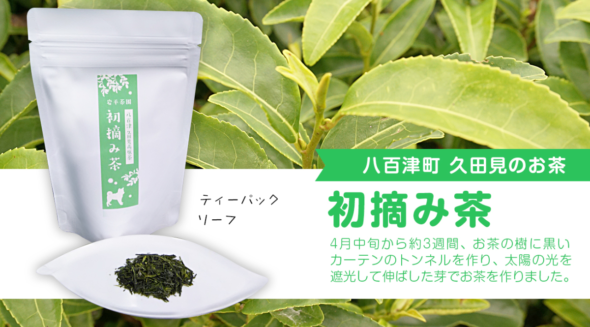 初摘み茶