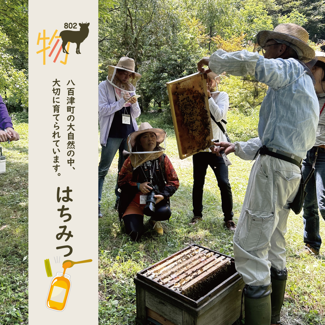 岐阜県八百津町 農泊体験 | サスティナブル802 | 八百津のハチミツ永田